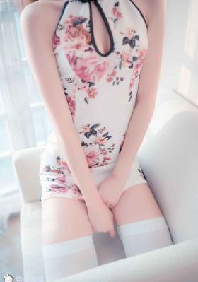 兽皇系列日本