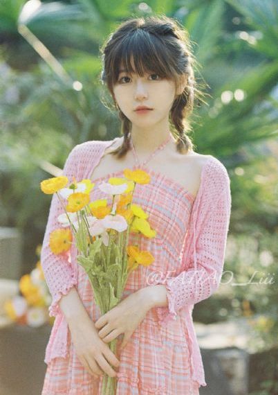 绿萝花电视剧免费观看