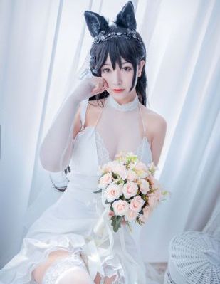 黑狐影视大全在线观看